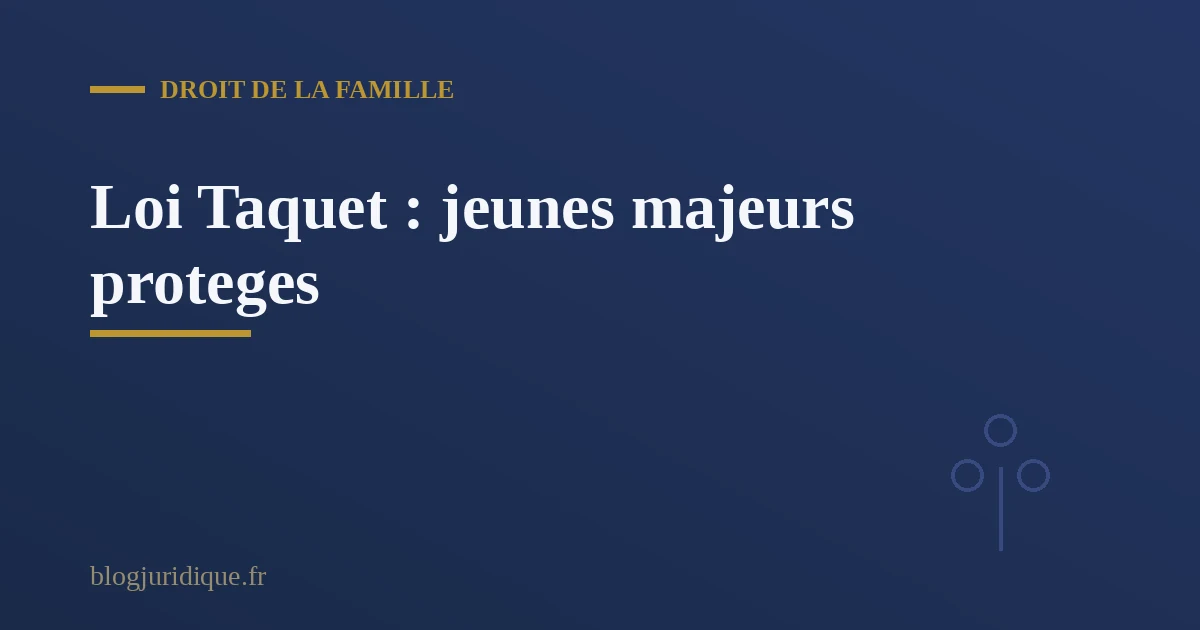 Loi Taquet et jeunes majeurs proteges : un acces au droit encore imparfait