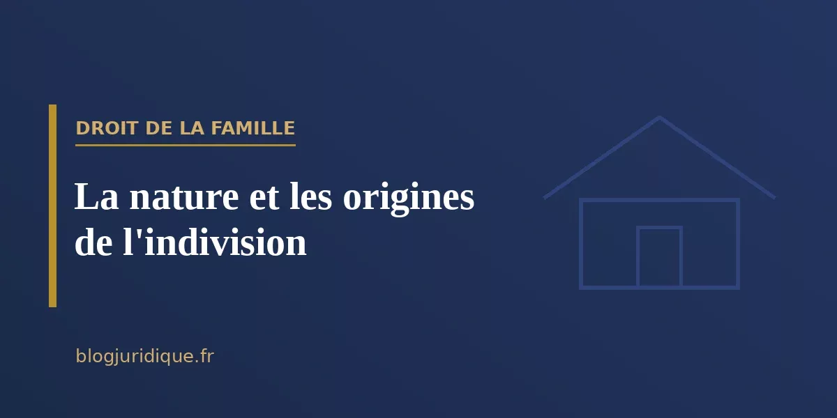 La nature et les origines de l'indivision