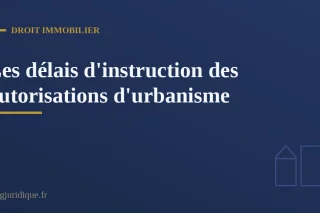 Fonctionnaire municipal examinant un dossier de demande de permis de construire au guichet