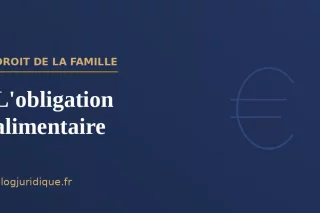 L'obligation alimentaire : débiteurs, montant et recouvrement
