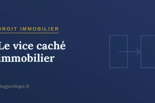Le vice caché immobilier : garantie, conditions et action en justice